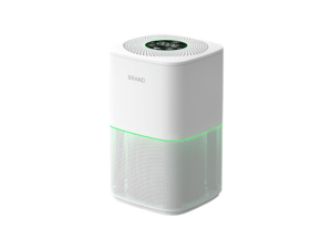 WSTA air purifier for home